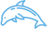 dolphin image